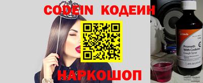 амф Кингисепп