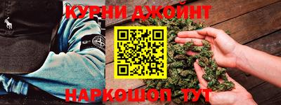 амф Кингисепп