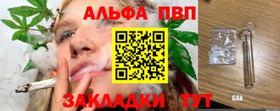 амф Кингисепп