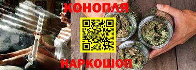 амф Кингисепп