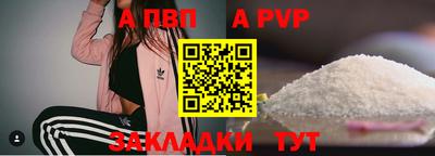 амф Кингисепп