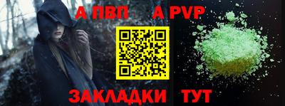 амф Кингисепп