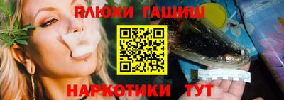 амф Кингисепп