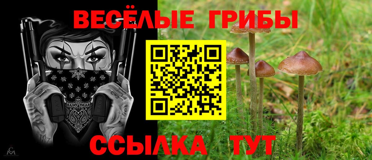 Псилоцибиновые грибы мицелий  Галлюциногенные грибы мицелий  Вход с VPN  Моршанск 